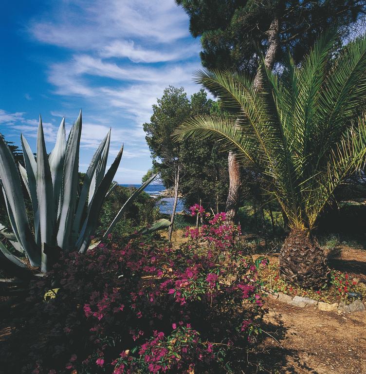 Le Mas Du Langoustier Hotel Porquerolles Eksteriør billede